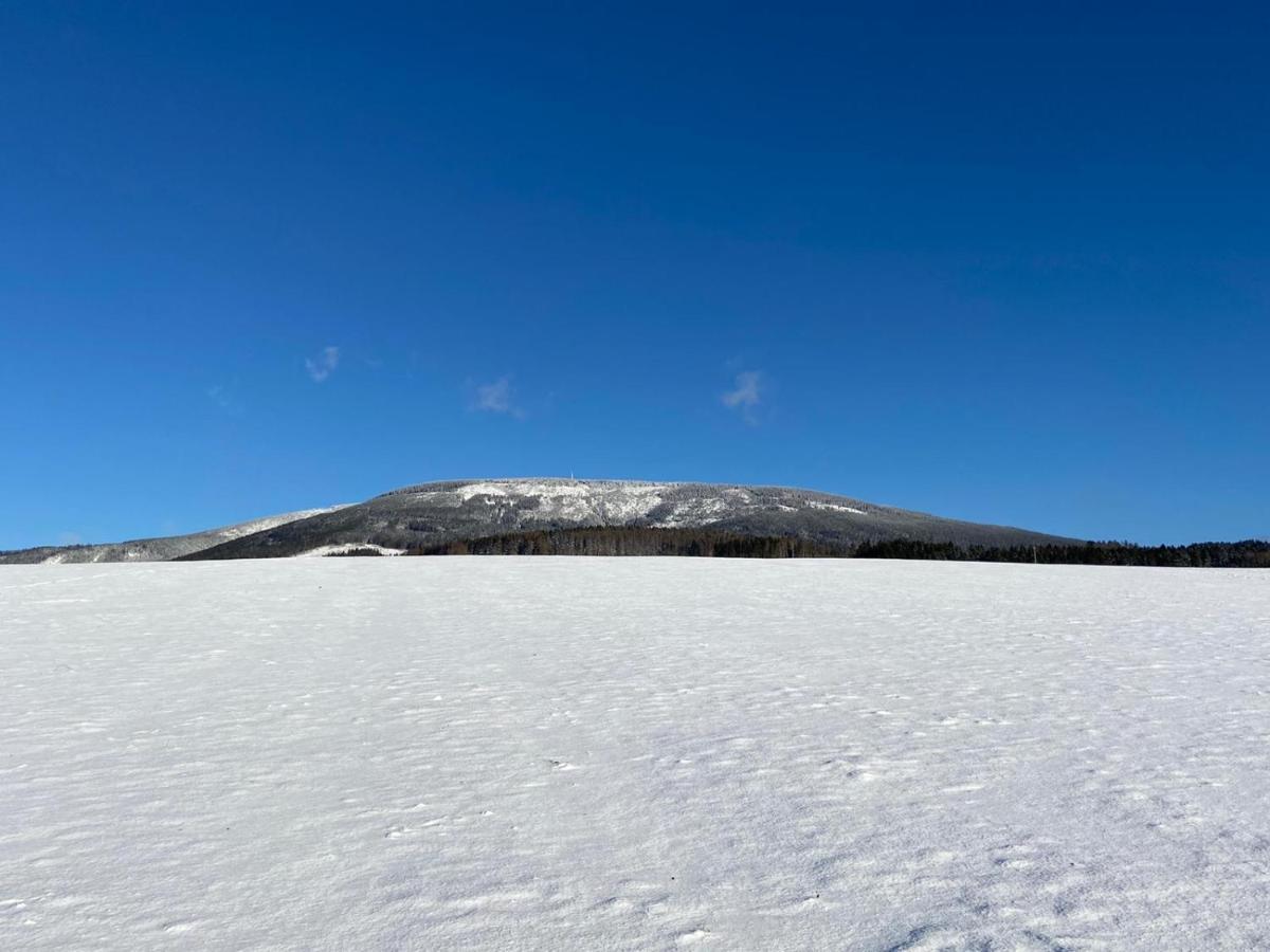 Vila 66 - Cista V Krkonosich Черні Дул Екстер'єр фото